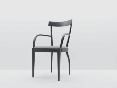 Demetra chair with armrests