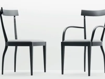 Demetra chair with armrests